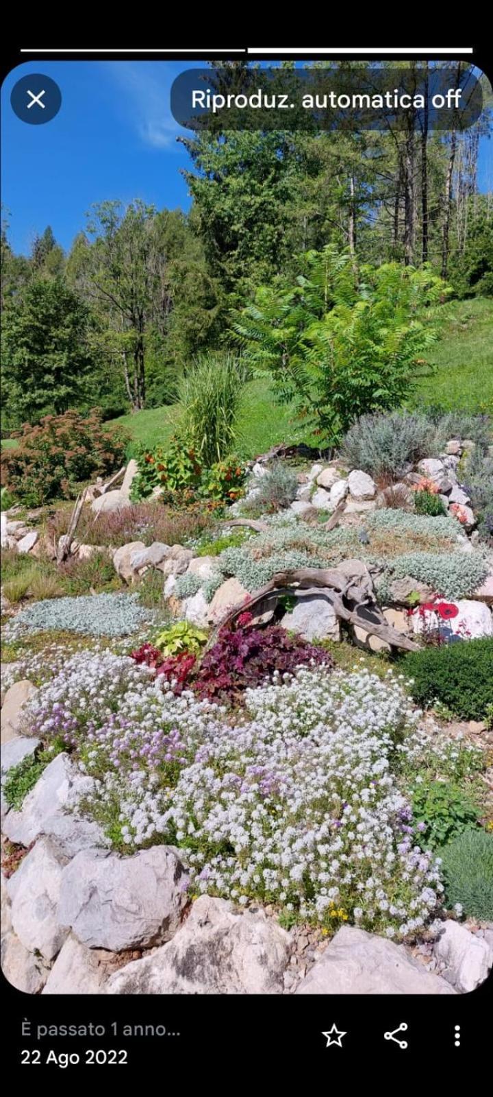 Appartamento Reggia Al Sole Pieve di Cadore Esterno foto