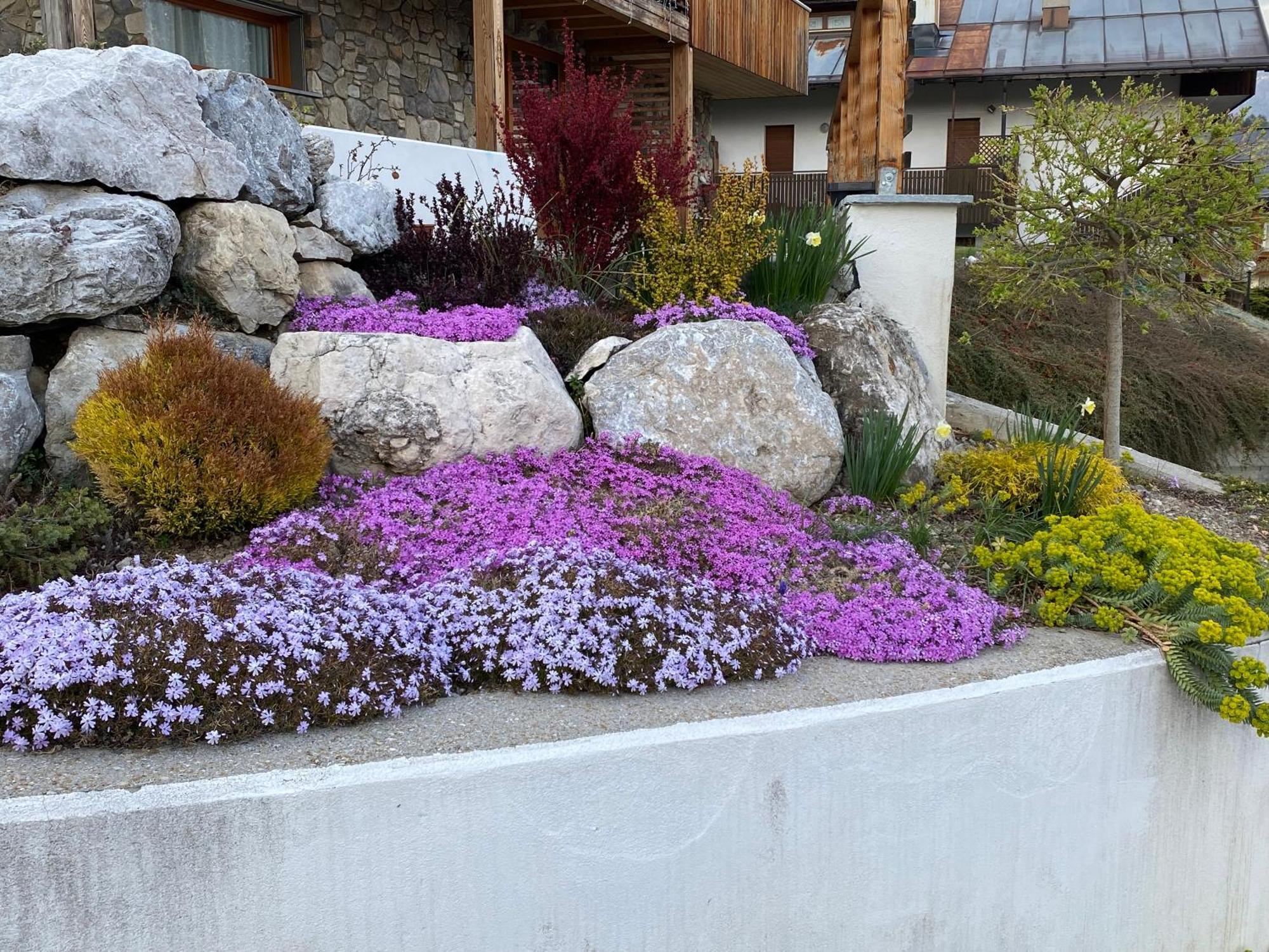 Appartamento Reggia Al Sole Pieve di Cadore Esterno foto